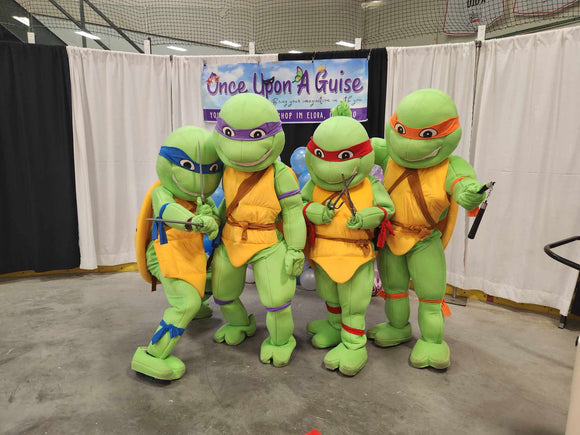 The 4 Turtle Fighters