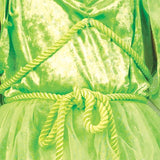 Neverland Fairy Adult Costume