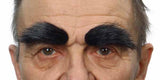 Eyebrows   6cm X 3cm