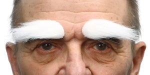 Eyebrows  7cm X 3cm