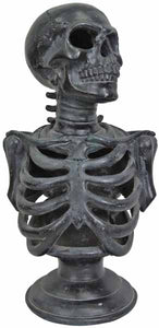 12.5" Light Up Skeleton Torso