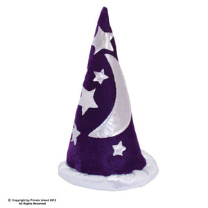 Purple Wizard Hat