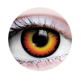 Primal Contact Lenses - Various Styles - New Arrivals