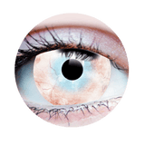 Primal Contact Lenses - Various Styles - New Arrivals