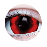 Primal Contact Lenses - Various Styles - New Arrivals