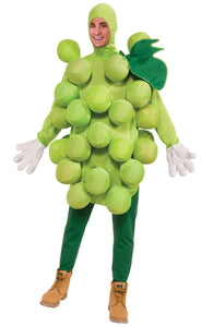 Green Grapes Costume - One Size