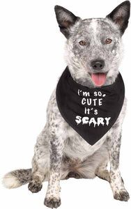 I'm So Cute It's Scary Pet Bandana